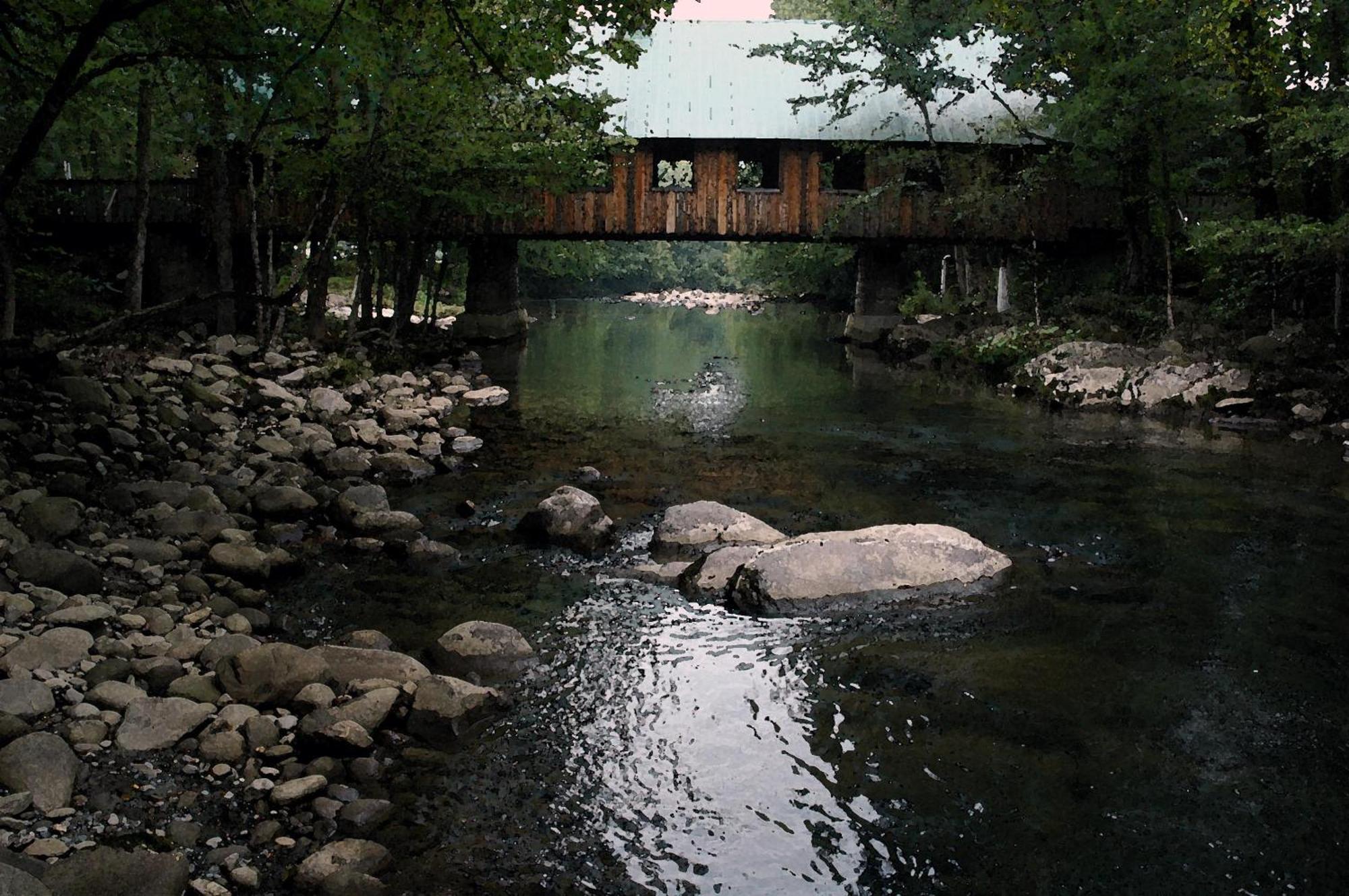 Zen Garden #1523 Villa Gatlinburg Buitenkant foto